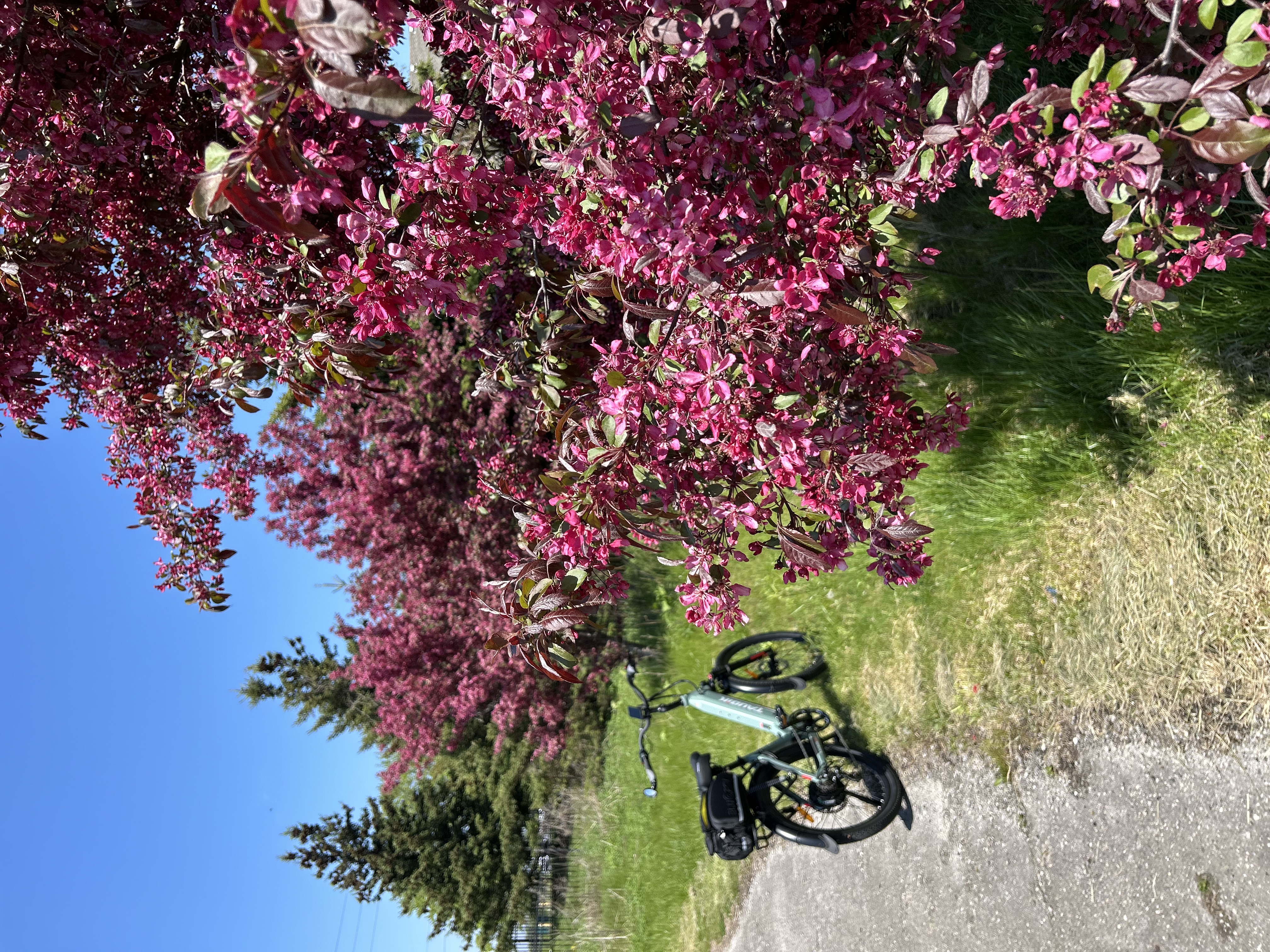 E-bike ride